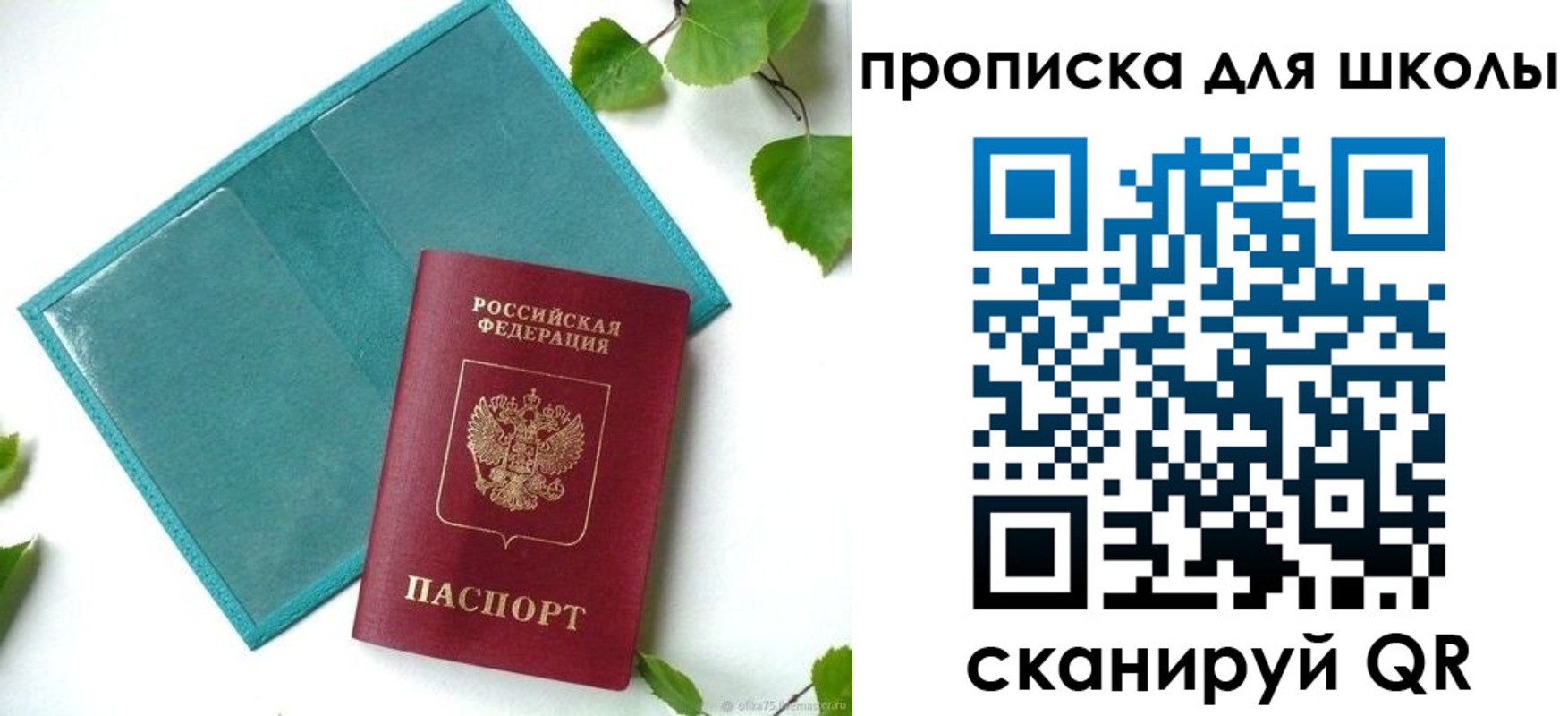 прописка в Кашине